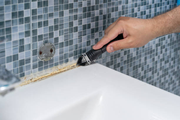 Best Mold Removal Company Near Me  in Desert Edge, CA