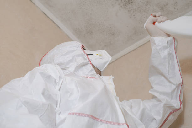 Best Crawl Space Mold Removal  in Desert Edge, CA