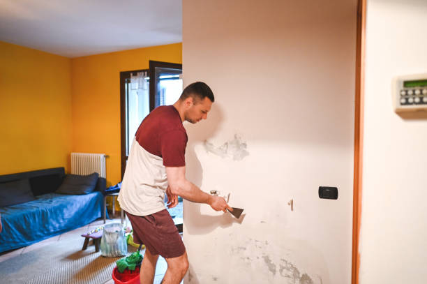 Best Mold Removal Near Me  in Desert Edge, CA